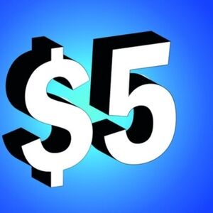 $5 item